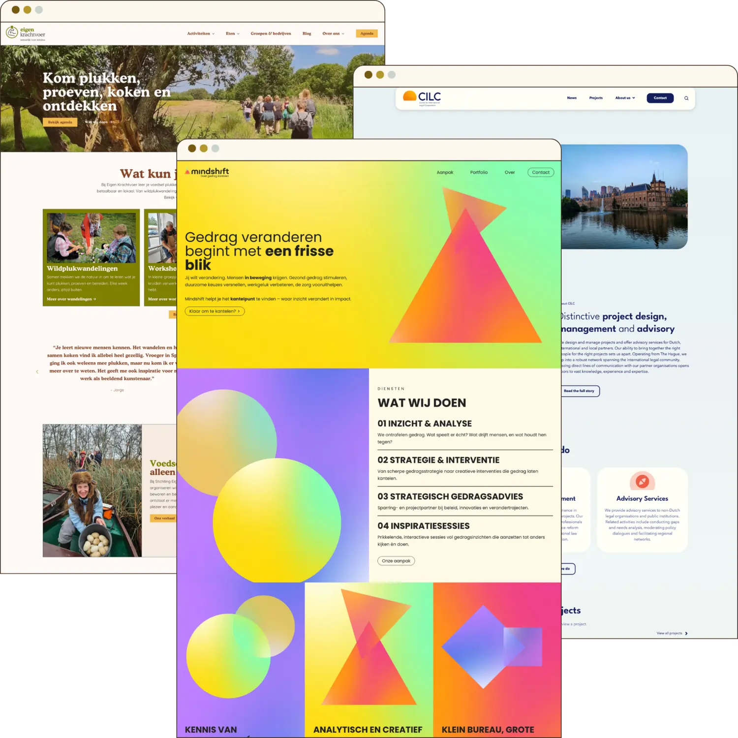 Drie voorbeelden van webdesigns