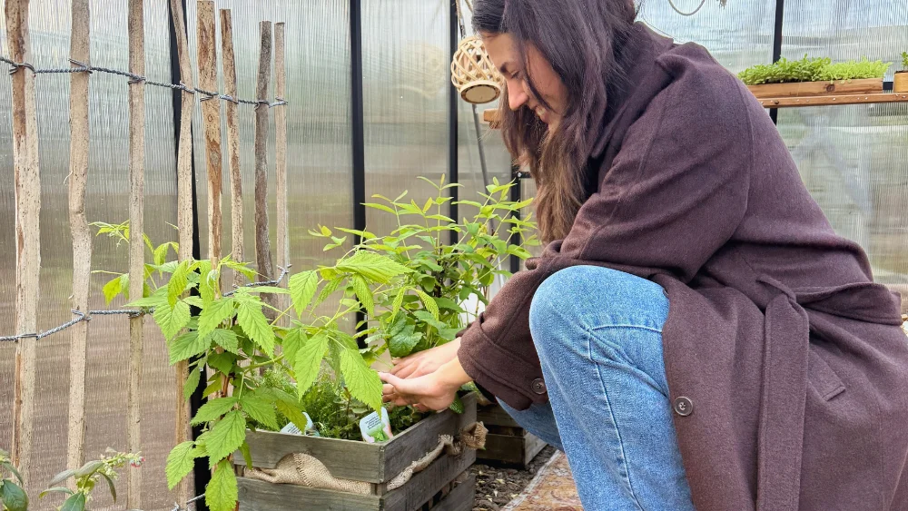 website als vrijwilliger